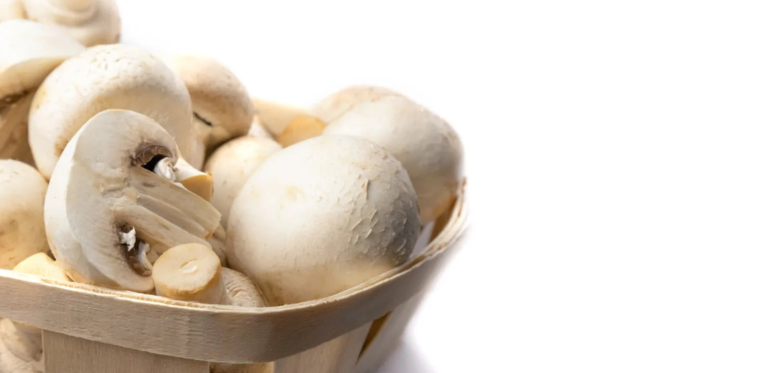 Why White Button Mushrooms Should Be in Your Diet (Science-Backed Benefits)