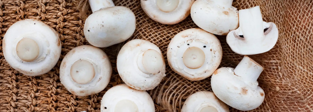 The Environmental Impact of White Button Mushroom Farming