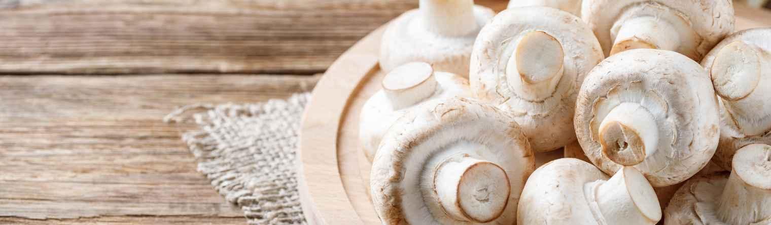 The Medicinal Power of White Button Mushrooms