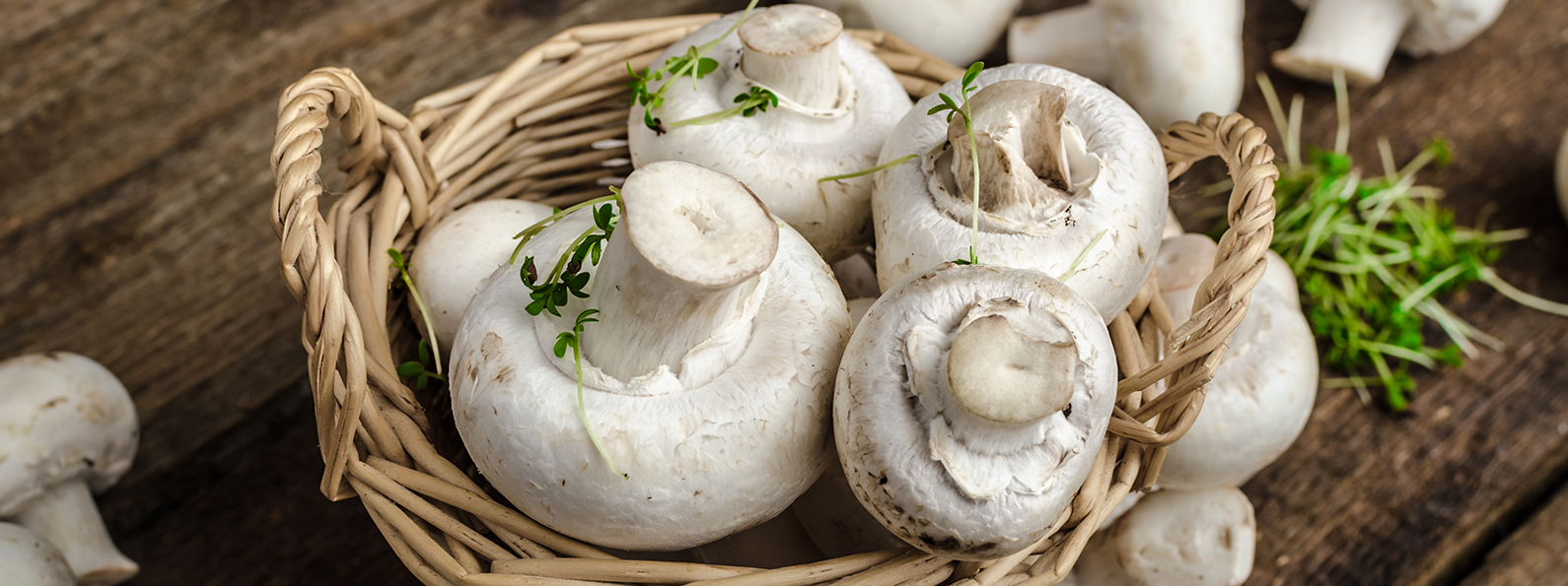A basket of mushrooms